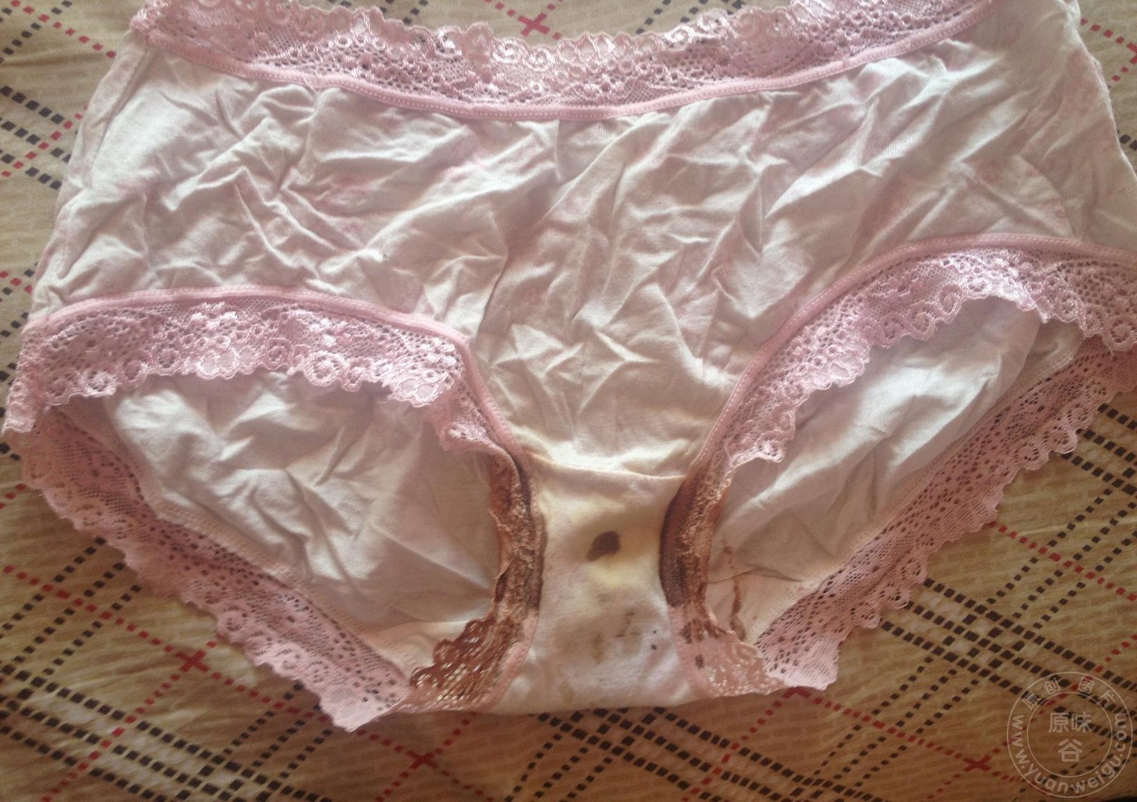 19_58692_52301bedd1685ed.jpg