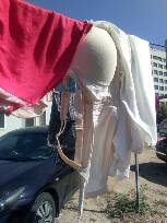 IMG_20170921_095132.jpg.JPG
