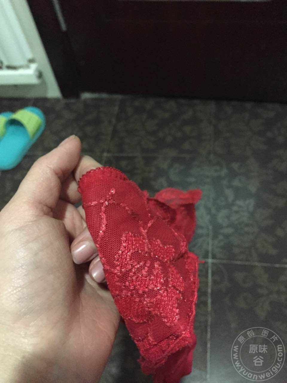 41_8619750.jpg