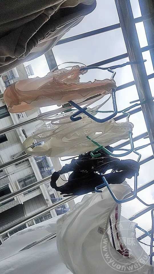 00_600_1000.jpg