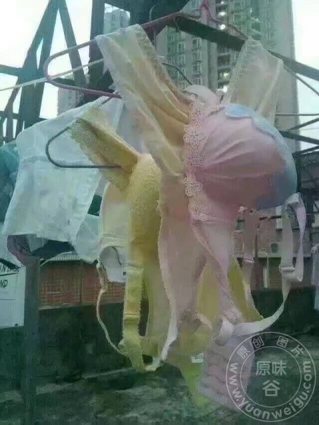 1656800881697.jpeg